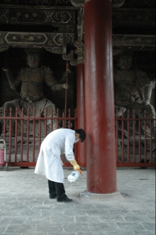 台州古建筑柱子白蚁预防